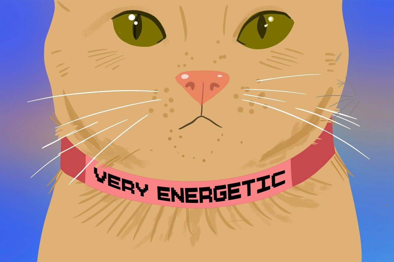 Cat Tracking Study Finds Pet Cats Range Farther Than Owners Think