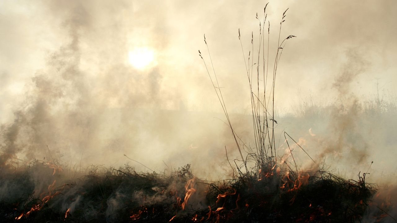 Super El Niño Could Push Stressed Climate Systems Past Critical Threshold, Researcher Warns