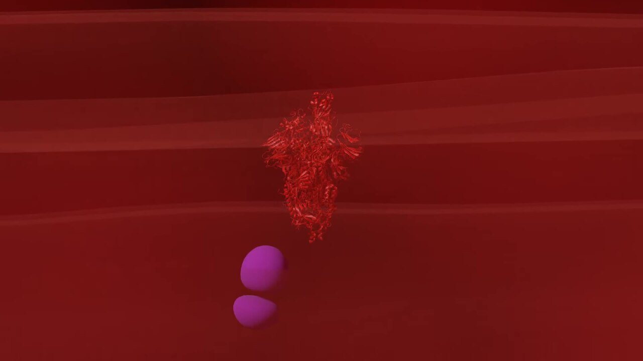 COVID-19 mRNA Vaccination Around Immunotherapy Start Linked to Modest Early Survival Gains in Cancer Patients
