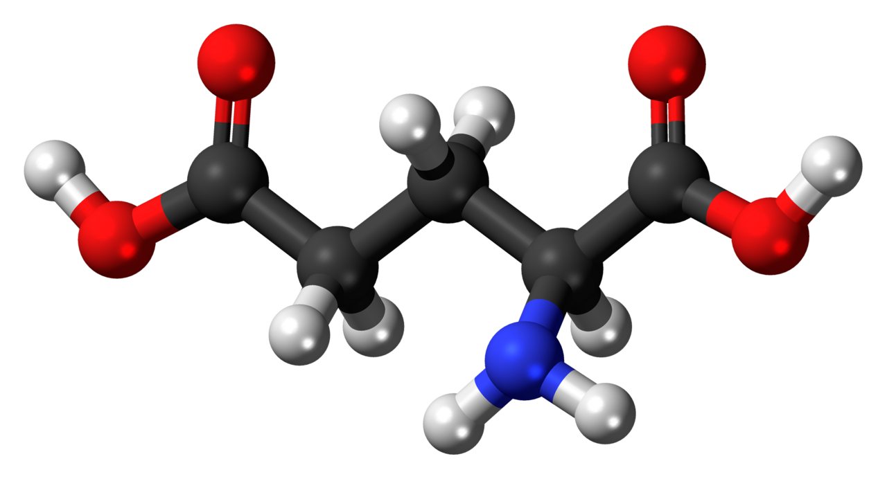 Amino Acids Emerge as Building Blocks for Next-Generation Quantum Materials