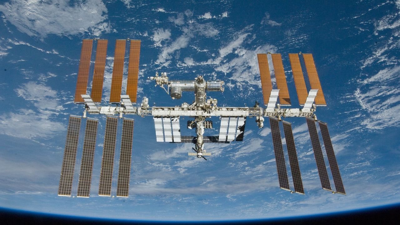Kidney and liver tissue bioprinted in space for first time