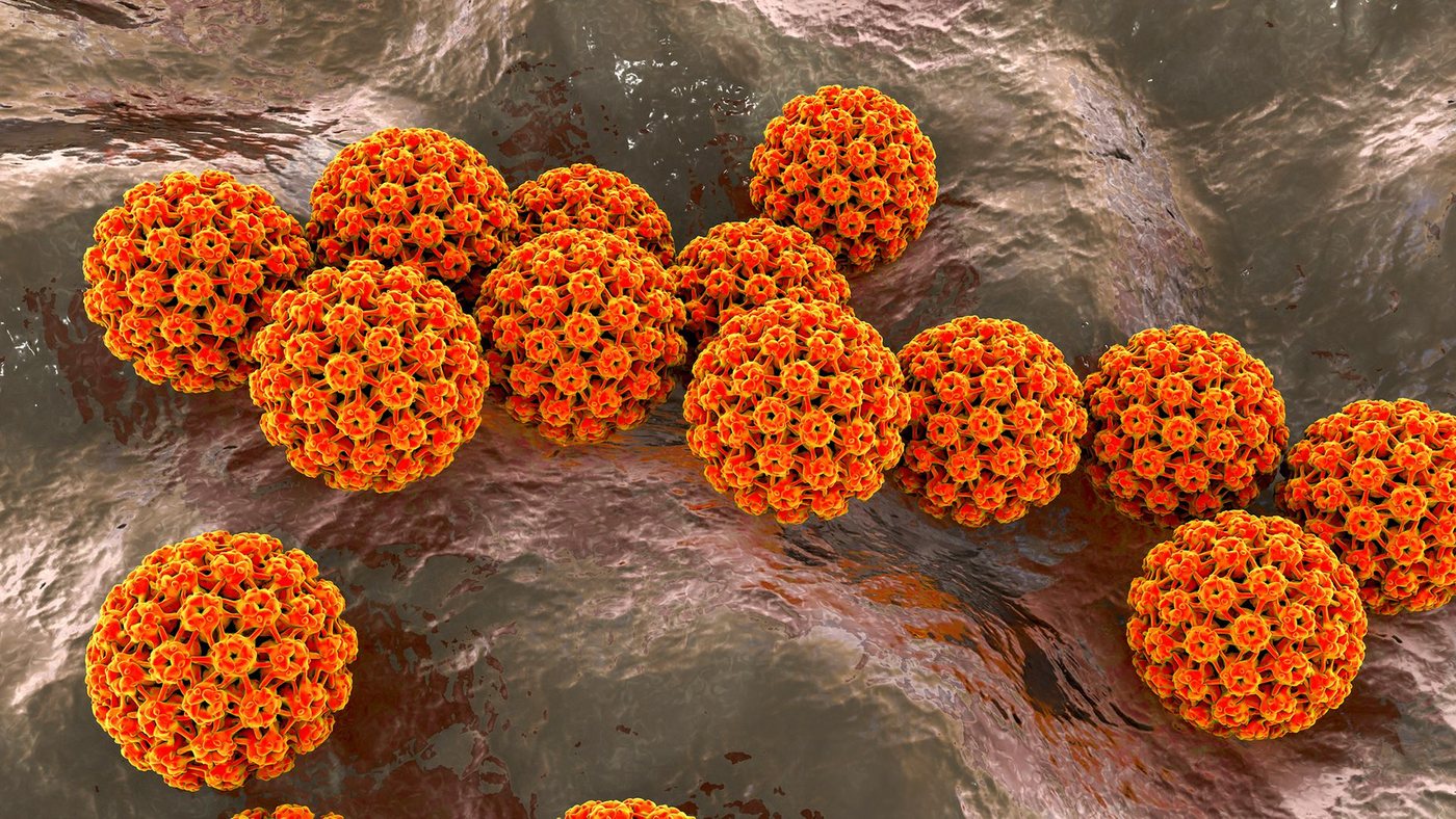 1 in 8 Cancer Cases Linked to Infections, Experts Say Vaccines Are Key