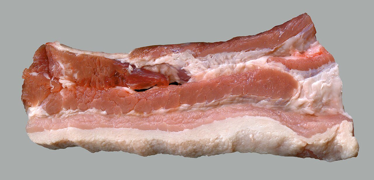 Switching off protein Mitch burns fat and blocks new fat cells, study finds