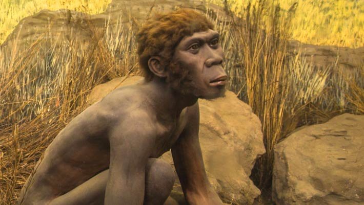 Scientists Find Traces of Two Unknown Archaic Hominins in Human DNA