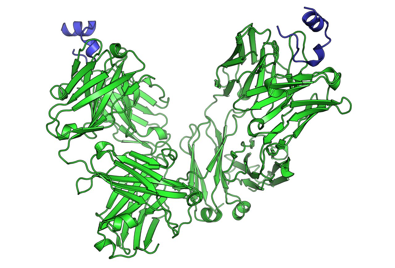 Multimodal Biomarkers Improve Prediction of Immunotherapy Response