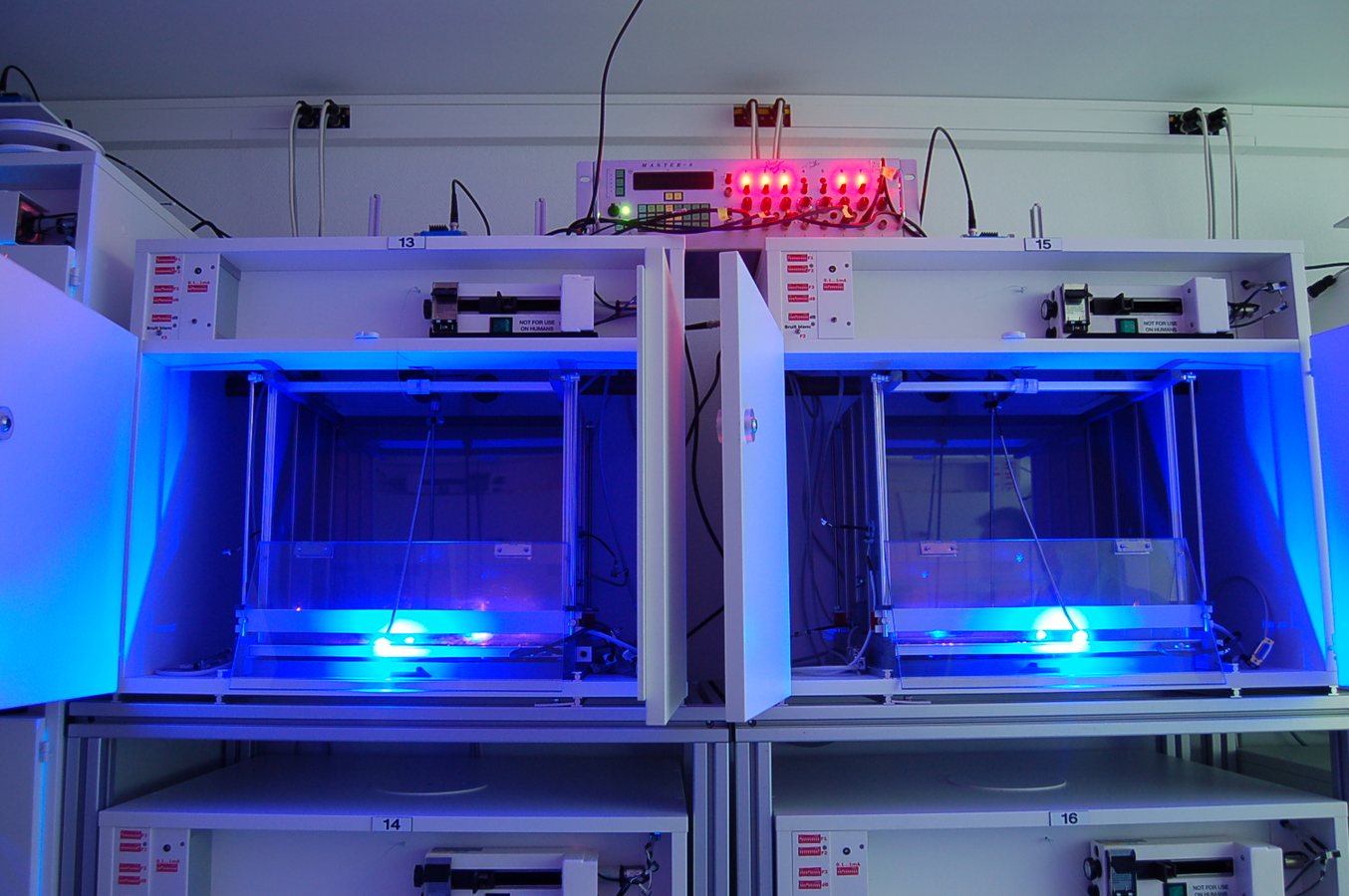Nobel Prize in Medicine 2026 Awarded for Optogenetics Breakthrough