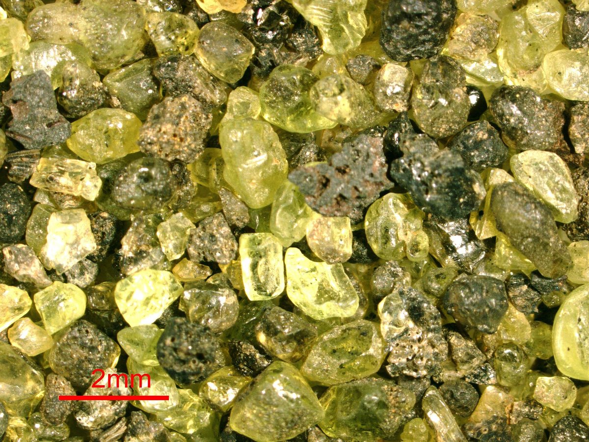 Engineered Marine Bacterium Speeds Olivine Weathering for Carbon Removal