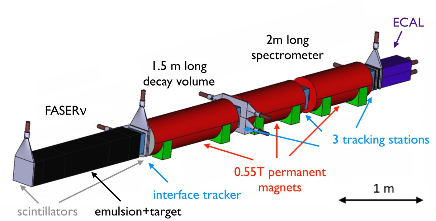 Trapped-Ion Quantum Computer Simulates Gluon String Breaking